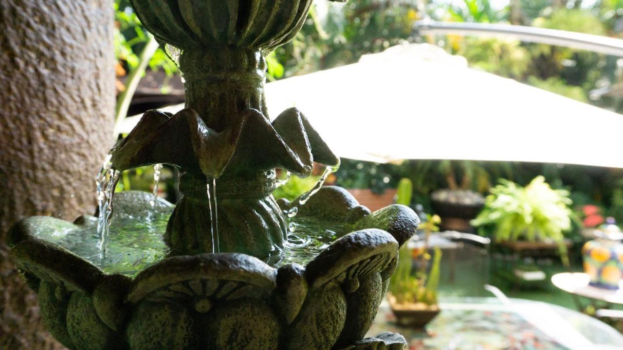 El Jardin Del Eden B&B Boutique Cuernavaca Exteriör bild